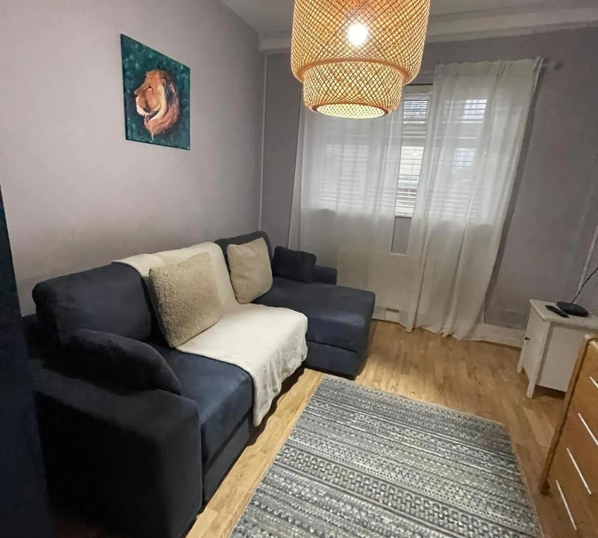 Cozy Hidden Gem In The Bay 10 Mins Walk From Wmc With Parking Apartment Cardiff